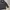 Dickies Streetwear Y2K Parka Pria black photo 3