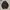 Dickies Streetwear Y2K Parka Pria black photo 2
