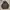Buzz Ricksons Avant Garde Parka Pria brown photo 2