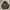 Buzz Ricksons Avant Garde Parka Pria Brown