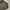 Buzz Ricksons Avant Garde Parka Pria brown photo 3