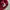 Uniqlo Casual Cardigan Pria red photo 7