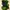 Nike Sportswear Casual T-shirt Pria green navy photo 5