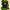 Nike Sportswear Casual T-shirt Pria Green Navy