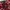 Y2K Fairy Wedge Wanita burgundy photo 1
