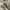 Undercover Streetwear Gorpcore Tracksuit Pria tan cream photo 2