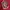Adidas Streetwear Sportswear Jersey Pria red photo 2