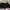 H&M Casual Bra Wanita multicolor photo 4