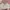 H&M Casual Bra Wanita multicolor photo 6