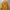 Minimalist Casual Kimono Wanita yellow photo 2