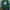 Indie Casual Fleece Pria green photo 2