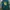 Indie Casual Fleece Pria Green