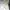 Kappa Vintage Casual Jersey Pria white yellow photo 3