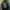 Luxury Bomber jacket Pria tan photo 2