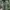 Sportswear Parka Pria green black photo 4