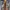 Converse Skater Casual Casual shoe Pria yellow photo 2