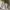 Gorpcore Tracksuit Pria green photo 7
