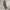 Gorpcore Tracksuit Pria green photo 1