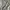 Gorpcore Tracksuit Pria green photo 6