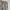 Gorpcore Tracksuit Pria green photo 4