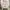 Converse Streetwear Indie Sneakers Pria multicolor white photo 5