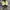 Converse Streetwear Indie Sneakers Pria multicolor white photo 3