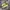 Converse Streetwear Indie Sneakers Pria multicolor white photo 1