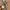 Takeo Kikuchi Streetwear Casual Parka Pria multicolor photo 7
