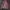 Salomon Gorpcore Windbreaker Pria red photo 4