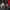 Salomon Gorpcore Windbreaker Pria red photo 5
