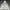 National Geographic Sportswear Casual Puffer jacket Pria white photo 1