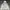 National Geographic Sportswear Casual Puffer Jacket Pria White