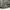 Luxury Bags & purse Wanita gray photo 4
