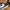 Nike Streetwear Sportswear Sneakers Pria black photo 5
