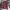 AMIRI Streetwear Y2K Formal shirt Pria red black photo 3