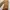 Carhartt Streetwear Sportswear Dungaree Pria brown photo 7