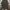 Streetwear Y2K Skirt Wanita gray photo 1