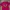Fruit Of The Loom Casual T-shirt Pria Multicolor