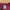 Jerzees Casual T-shirt Pria burgundy photo 2