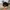 Vintage Streetwear Hat Pria black photo 2