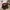H&M Vintage Streetwear Hat Pria Multicolor