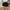 Vintage Streetwear Hat Pria black photo 2