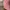 Fila Vintage Streetwear Hat Pria pink photo 6