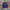 Streetwear Sportswear Windbreaker Pria Orange Blue