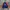 Streetwear Sportswear Windbreaker Pria Orange Blue