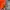 Streetwear Sportswear Windbreaker Pria orange blue photo 4