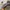 ZARA Vintage Streetwear Hat Pria Multicolor