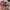 Polo Ralph Lauren Vintage Streetwear Hat Pria pink photo 4