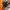 The North Face Casual Bag Pria multicolor orange photo 7