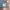 The North Face Casual Bag Pria multicolor photo 2